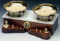 double pan 1kg scale with 1kg weight set